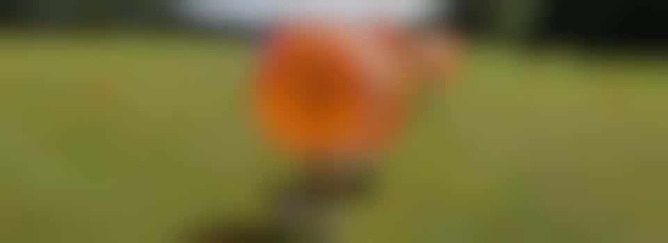 Jongerenwerk gemeente Medemblik