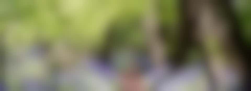 Community WildBelt Local Nature Recovery Coordinator