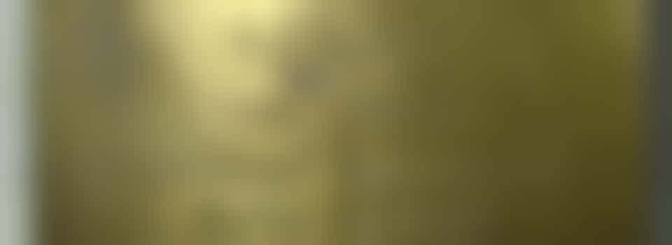 Stolpersteine (Struikelstenen) voor oorlogsslachtoffers in Enschede