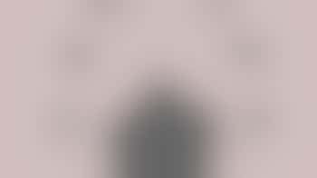 Bus Chauffeurs gezocht