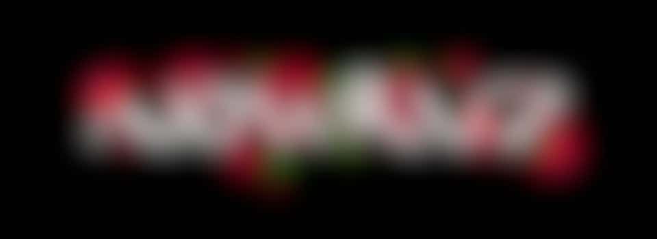 Maatschappelijke Nowruz projecten in het buitenland