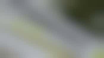 Transition Network Liaison Role