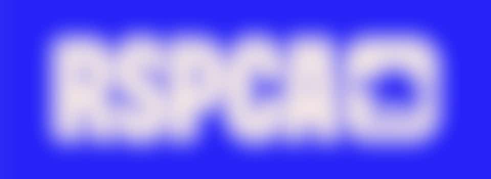 Cheerer (Cambridge Half Marathon Cheer Team)