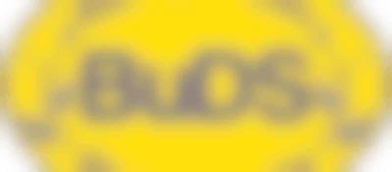 Charity Co-Treasurer