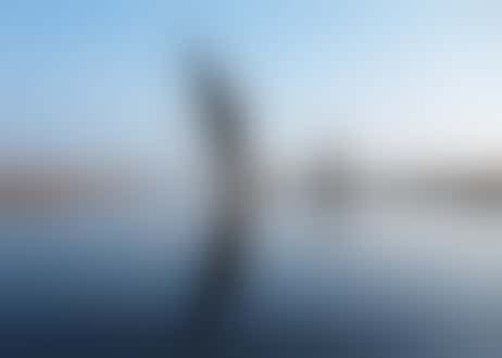 Publicity role with Wherry Maud Trust