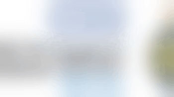 Welfare Wagon Volunteer