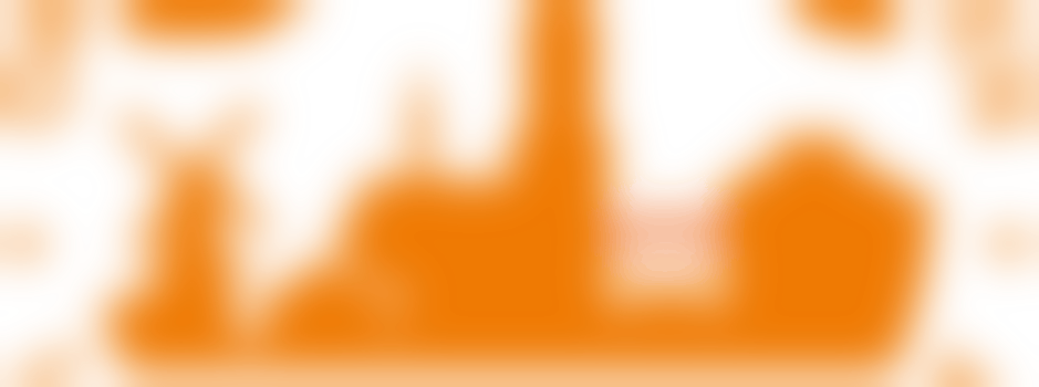 Vrijwilliger Koningsdag