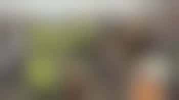 Friends of Croxley Common Moor