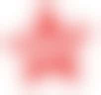 Disability Support Volunteer