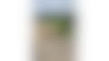 Stichting pink stables