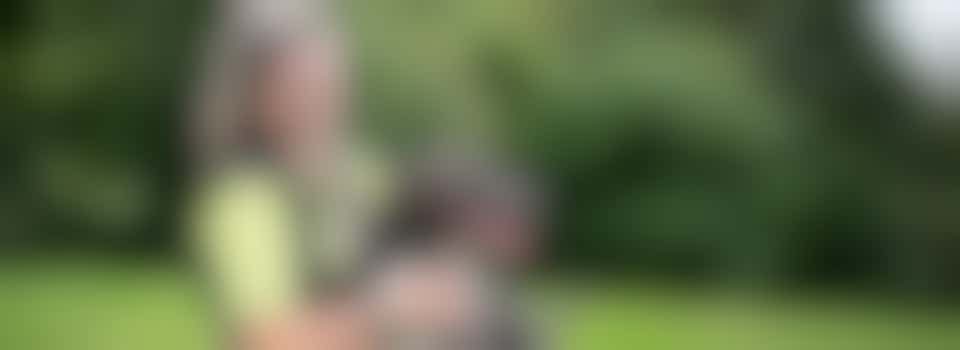 Birmingham Dogs Home