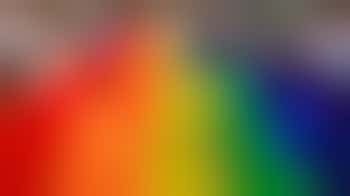 Bestuurslid Financiën (Penningmeester)