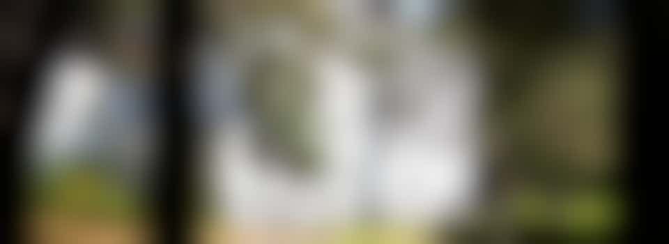 Bi-weekly gardening sessions