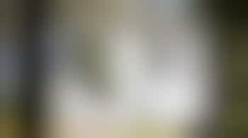 Bi-weekly gardening sessions