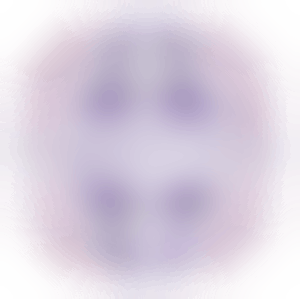 Activity Lead Volunteer