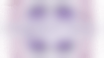 Activity Lead Volunteer