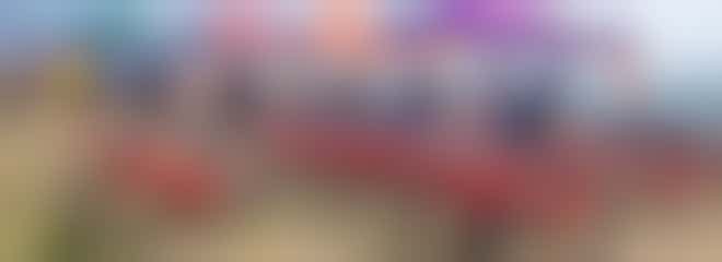 The Active Wellbeing Society (TAWS)