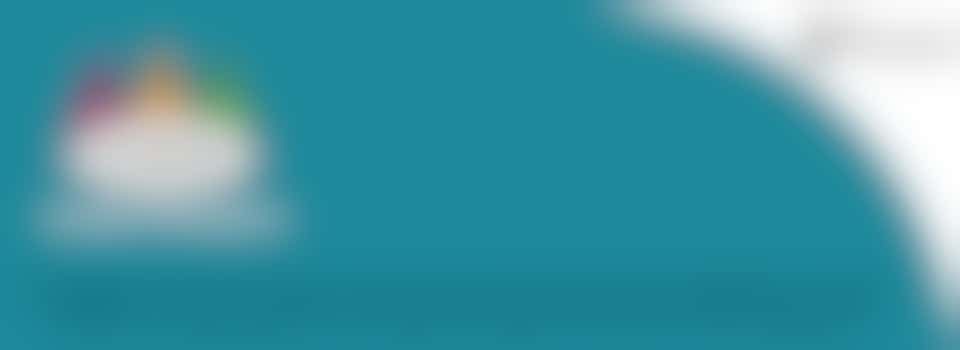 Quality Champions Team