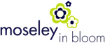 Moseley in Bloom