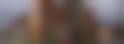 Administrative Volunteer Required