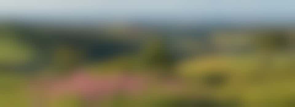 South West Heritage Trust