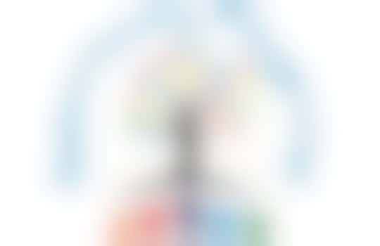 Organisation Support Volunteer