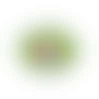 Beleeftuin Drakensteyn