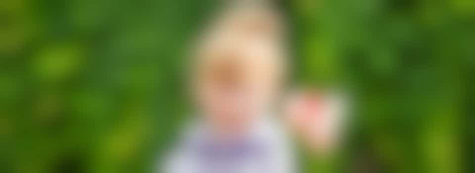 Stichting het Gehandicapte Kind