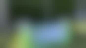 Community Liaison Volunteer