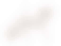 Projectweek 45: helpen bij judolessen