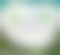 Eigen stage: helpen in de kinderopvang