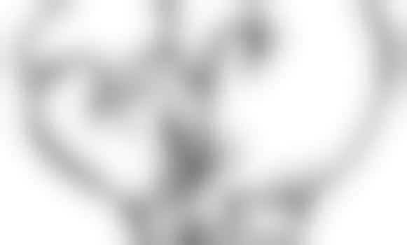 Eigen stage: helpen bij kickbokstrainingen