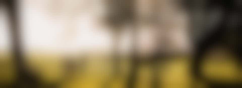 museumboerderij West-Frisia