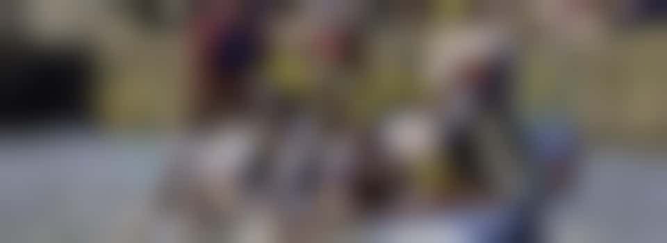 Fun annual Dragon Boat Charity event website - update help on WordPress