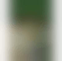 Bethany Community Outreach