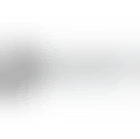 Birmingham & Black Country Wildlife Trust