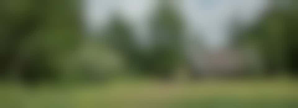 Razende reporter met een groen hart