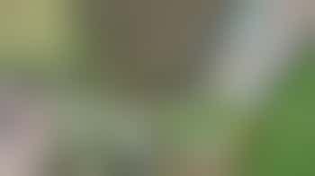 Volunteer for Norfolk and Suffolk Aviation Museum