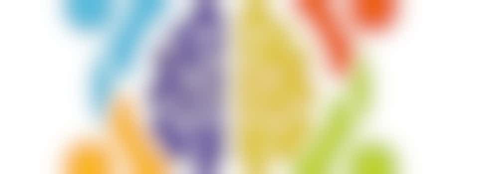 Family Activity Co-Ordinator