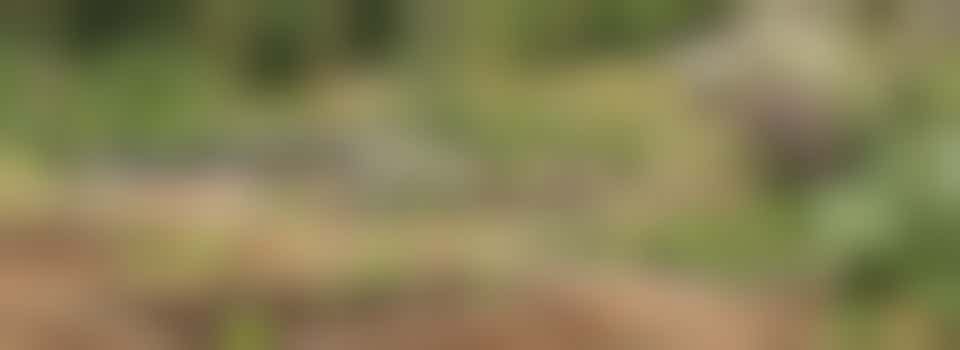 Broadway Community Garden