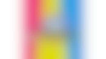 Stichting Pro Dronten/ meerpaaldagen