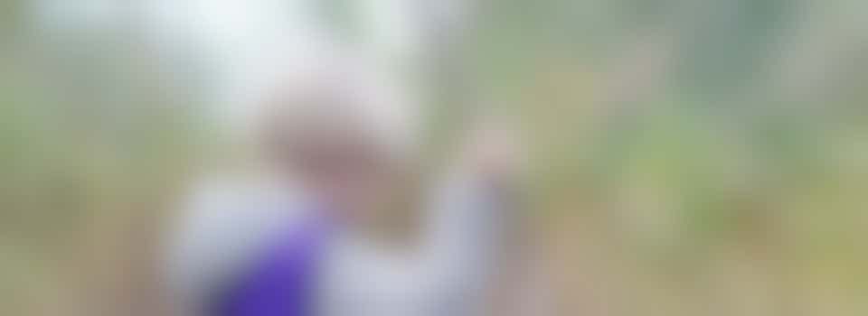 Stichting Natuurcentrum Ockenburgh