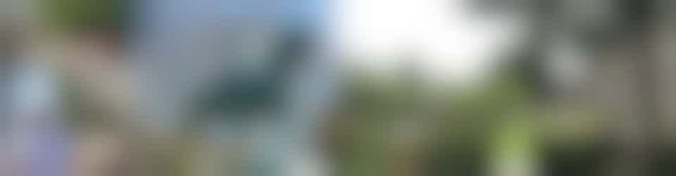 Verborgen Parels uit eigen stad