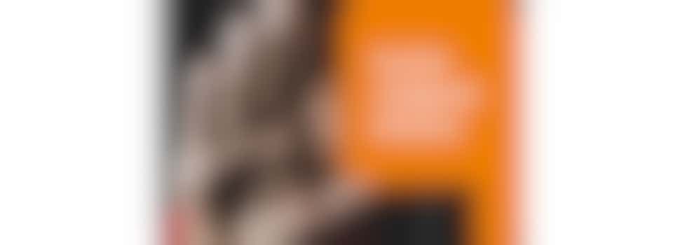 Sociale Veiligheid (online via Zoom)