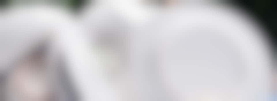 Afwashulp dinsdagavond