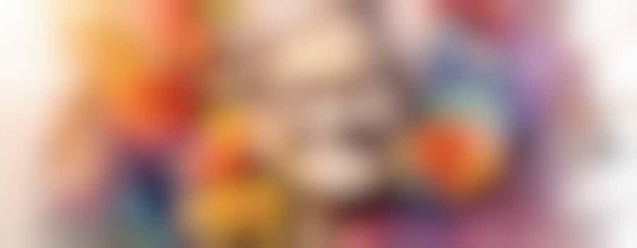 Gezellig en praktisch maatje gezocht