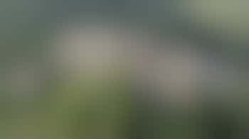 De paden op.... wandelvrijwilliger(s) gezocht!