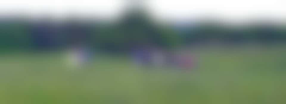 Adviseur Marketing voor De Blauwe Bever