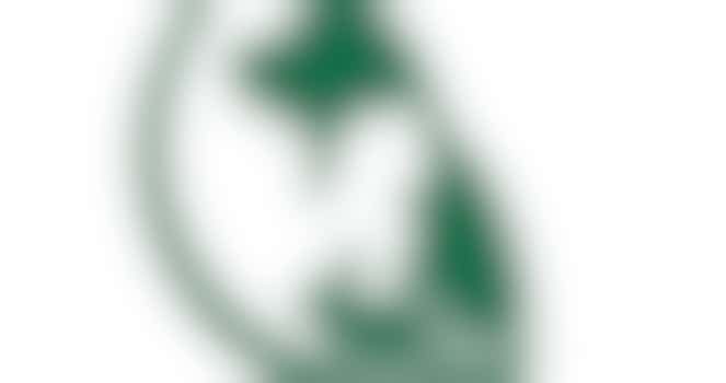 Bestuursondersteuner