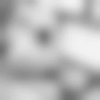 scholing voor vrijwilligers